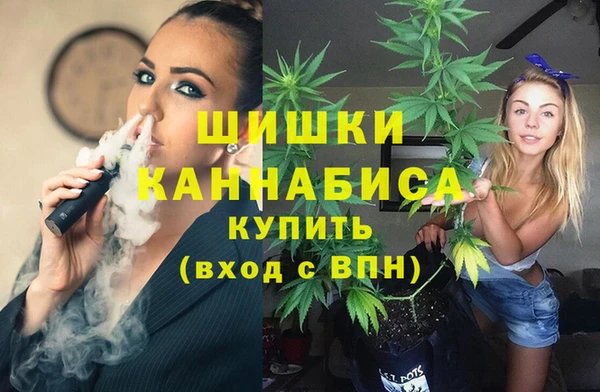 прущие грибы Балабаново
