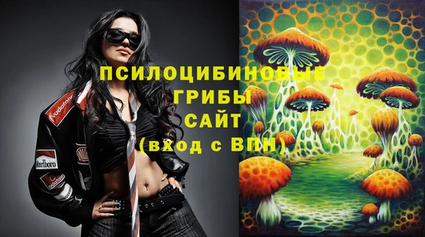 стафф Баксан