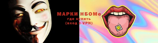 прущие грибы Балабаново