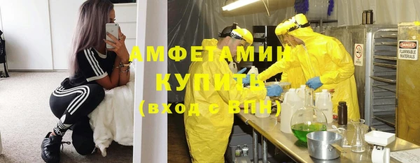 прущие грибы Балабаново